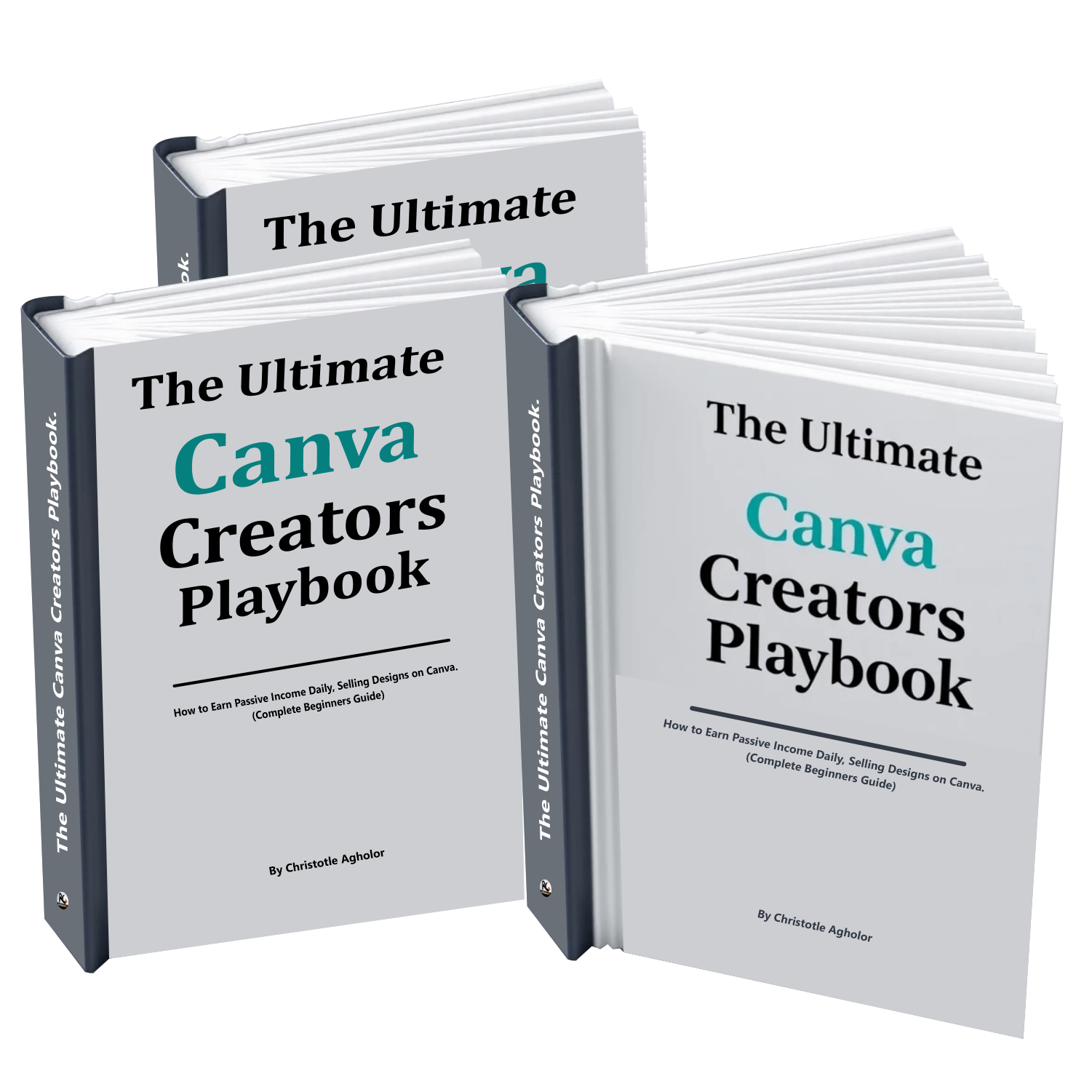 Book Cover 3